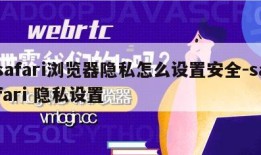 safari浏览器隐私怎么设置安全-safari 隐私设置