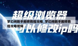 梦幻纯新手搬砖教程攻略_梦幻纯新手搬砖教程攻略视频