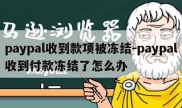 paypal收到款项被冻结-paypal收到付款冻结了怎么办