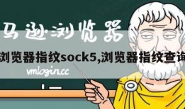 浏览器指纹sock5,浏览器指纹查询