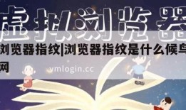 前端浏览器指纹|浏览器指纹是什么候鸟浏览器官网