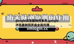 google浏览器如何多开,google浏览器如何开启全局代理