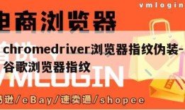 chromedriver浏览器指纹伪装-谷歌浏览器指纹