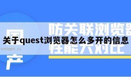 关于quest浏览器怎么多开的信息