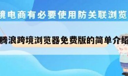 腾浪跨境浏览器免费版的简单介绍