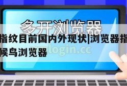 浏览器指纹目前国内外现状|浏览器指纹是什么意思候鸟浏览器