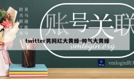 twitter男网红大黄蜂-帅气大黄蜂