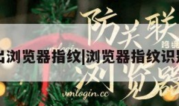 不输出浏览器指纹|浏览器指纹识别技术