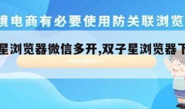 双子星浏览器微信多开,双子星浏览器下载安装