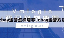 ebay运营怎样培养_ebay运营方法