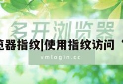 获取浏览器指纹|使用指纹访问“浏览器”