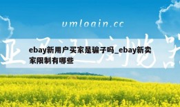 ebay新用户买家是骗子吗_ebay新卖家限制有哪些