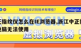 中正指纹仪怎么在IE浏览器,浙江中正指纹仪电脑无法使用