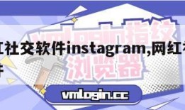 网红社交软件instagram,网红社交软件