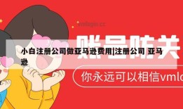 小白注册公司做亚马逊费用|注册公司 亚马逊