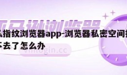 隐私指纹浏览器app-浏览器私密空间指纹进不去了怎么办