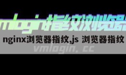 nginx浏览器指纹,js 浏览器指纹