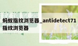 蚂蚁指纹浏览器_antidetect71指纹浏览器