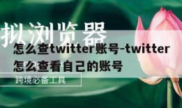 怎么查twitter账号-twitter怎么查看自己的账号