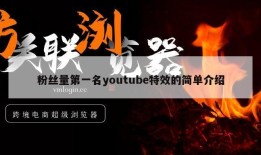 粉丝量第一名youtube特效的简单介绍