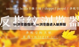 uc浏览器指纹_uc浏览器进入触屏版