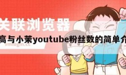 老高与小茉youtube粉丝数的简单介绍